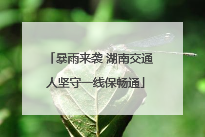 暴雨来袭 湖南交通人坚守一线保畅通